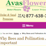 Ava's Flowers