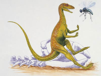 Bee and Dinosaur