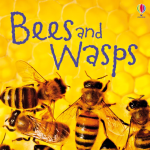 bees and wasps