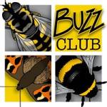 buzz club