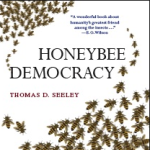 honeybee democracy