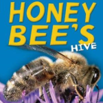 honeybee's hive