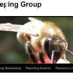 natural beekeeping trust