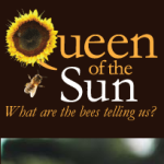 queen of the sun