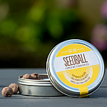 seedball