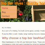 top bar hives