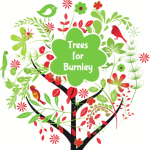 trees for burnley