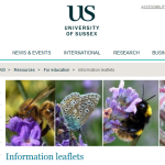 bee leaflets form Sussex University