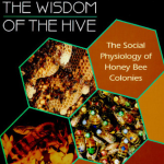 the wisdom of the hive